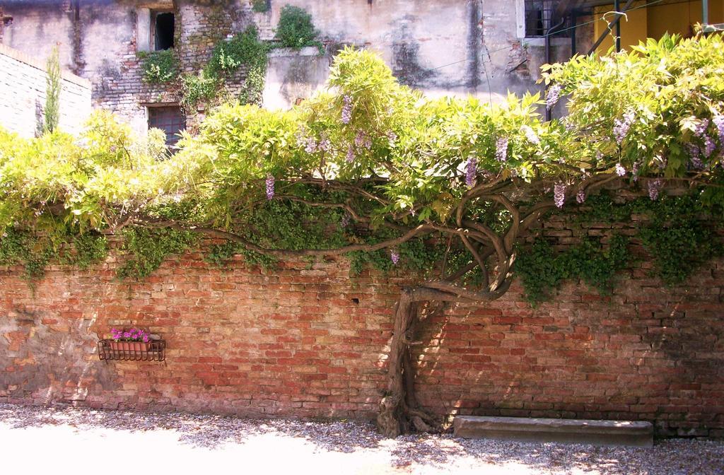 Relais Alcova Del Doge 호텔 미라 외부 사진